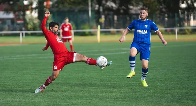 必一体育 · 体育栏目服务配图（示意）